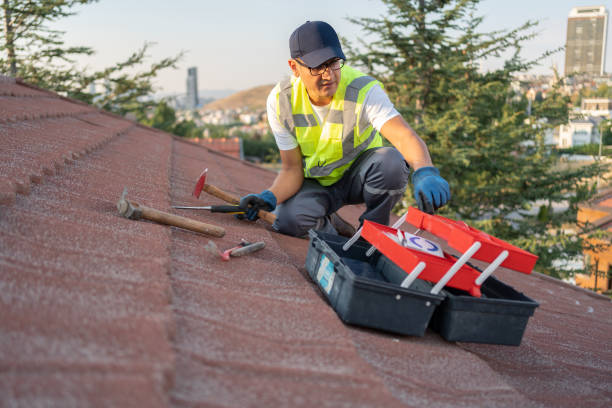 Best Vinyl Siding Installation  in Buda, TX